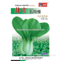 High Quality Green Leafy Vegetable Seeds For Sale-May Greens
